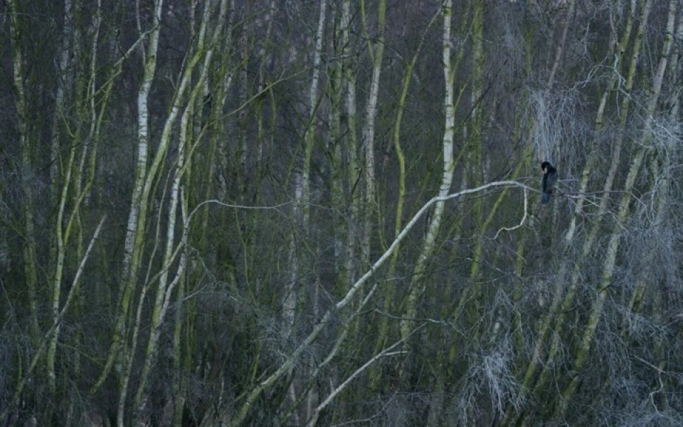 nhung buc anh thien nhien hoang da dep nhat tai anh