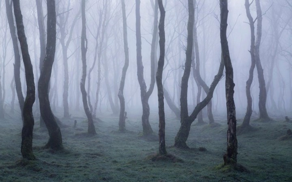 nhung buc anh thien nhien hoang da dep nhat tai anh