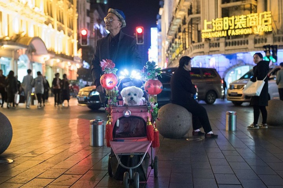 ve dep hien dai cua sieu thanh pho thuong hai