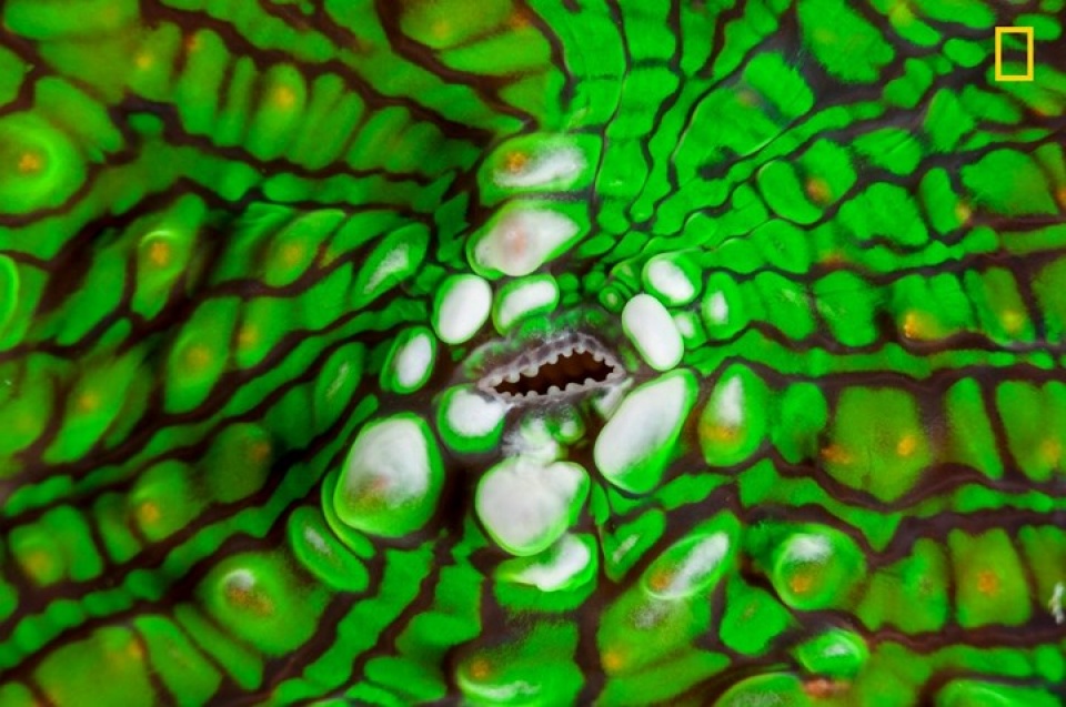 thien nhien dep me hon qua anh national geographic