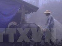 khong khi o london sach nhat trong 10 nam qua