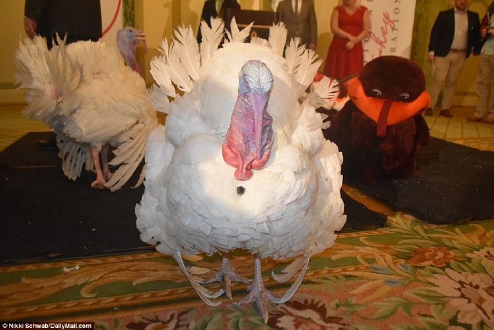 tong thong my lan dau xa toi cho ga tay dip le ta on