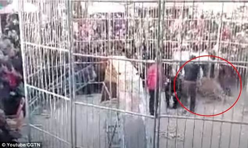 ho song chuong khi dang bieu dien hai tre nho bi thuong