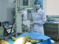 cong nghe in 3d dem toi mo hinh vo cung chan thuc cua thai nhi