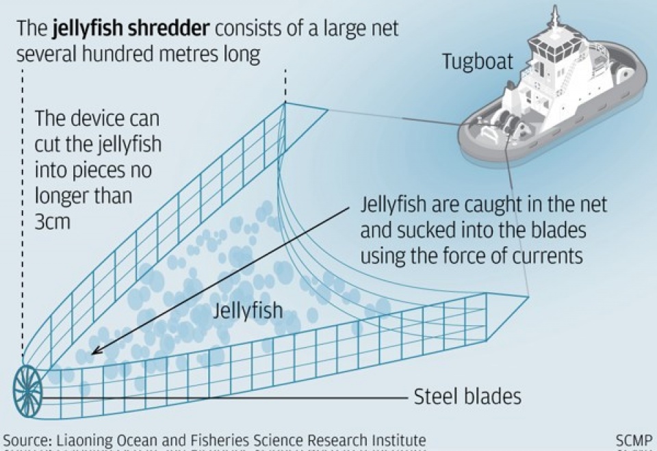 tau san bay lieu ninh co the bi vo hieu hoa vi sua