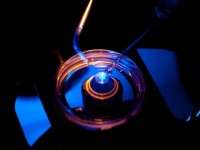 cong dung con gay tranh cai cua muoi hong tu dinh nui himalaya