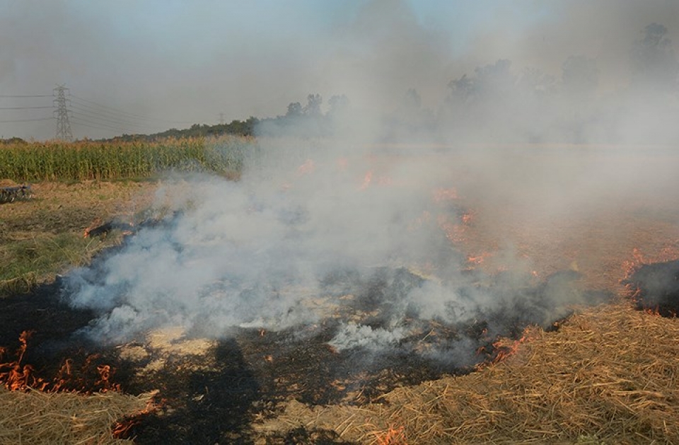 an do canh khoi bui o nhiem nhu tan the