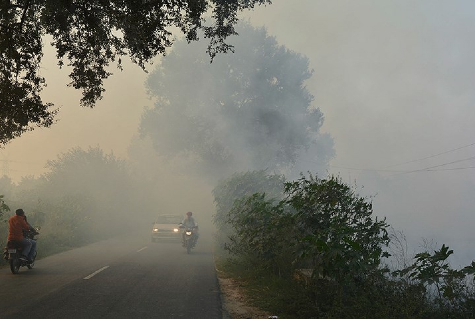 an do canh khoi bui o nhiem nhu tan the