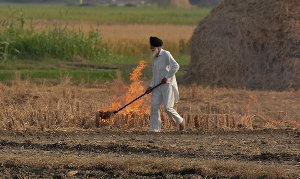 an do canh khoi bui o nhiem nhu tan the