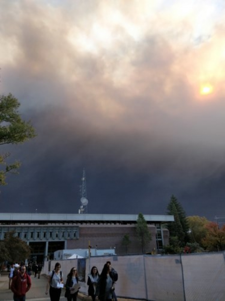 my hang nghin nguoi so tan do chay rung nhu tan the o california