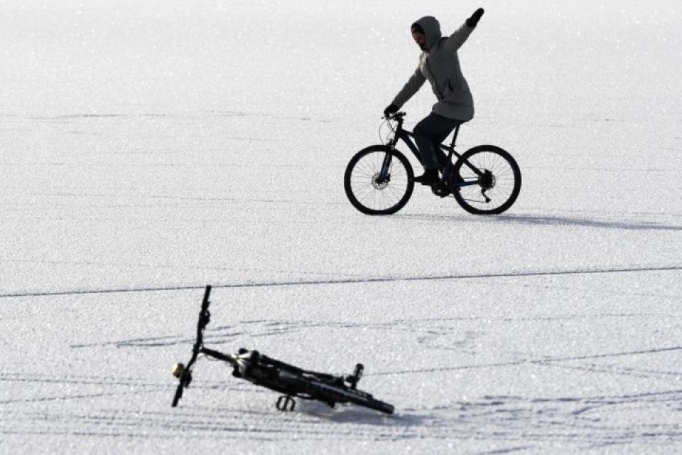 nga canh ba chua bang gia dep an tuong luc chom dong