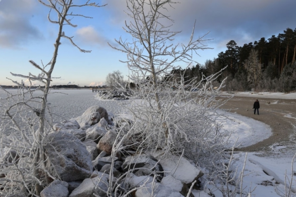 nga canh ba chua bang gia dep an tuong luc chom dong