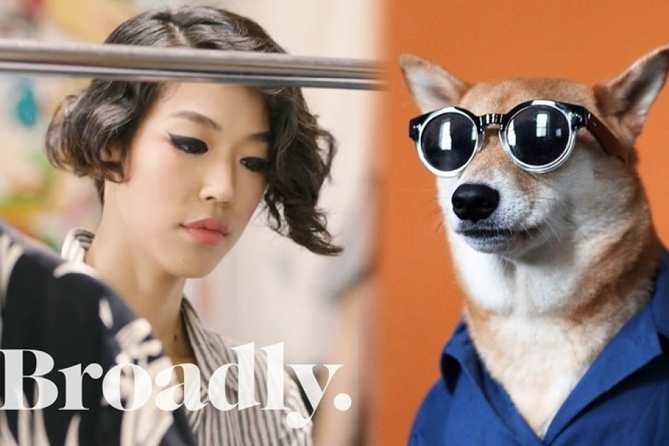 sieu mau cho bodhi cuc ngau voi muc luong 15000 usdthang