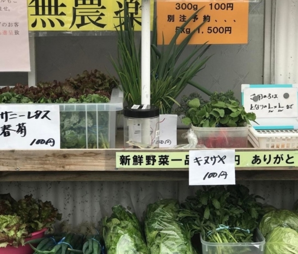 su chu dao va ti man an tuong cua nguoi nhat ban qua loat anh