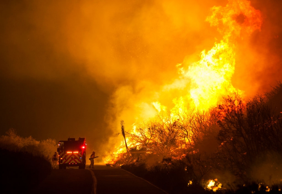 my thu thap adn nhan dang nan nhan chay rung tai california