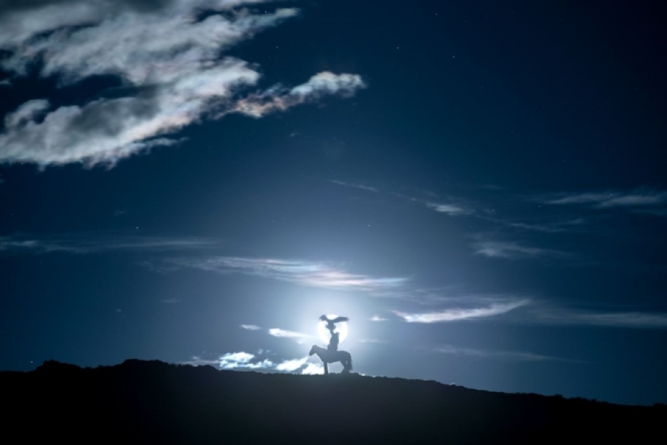 anh tuyet dep ve tho san du muc va dai bang sat thu tren thao nguyen mong co