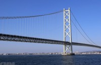 cay cau dac biet cuon tron nhu con sau