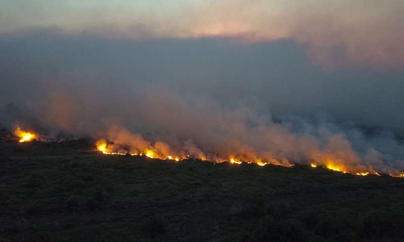 chay rung lan rong tai mien nam brazil