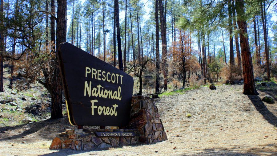 tang da phu thuy nang 1 tan trong vuon quoc gia bien mat bi an