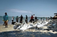 my de nghi giup nga xu ly su co tran dau