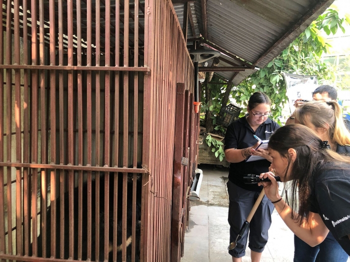 cuu ho gau ngua 10 tuoi tai truong xiec ha noi