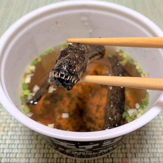 ky la cong ty ban mon sup sinh vat ngoai hanh tinh