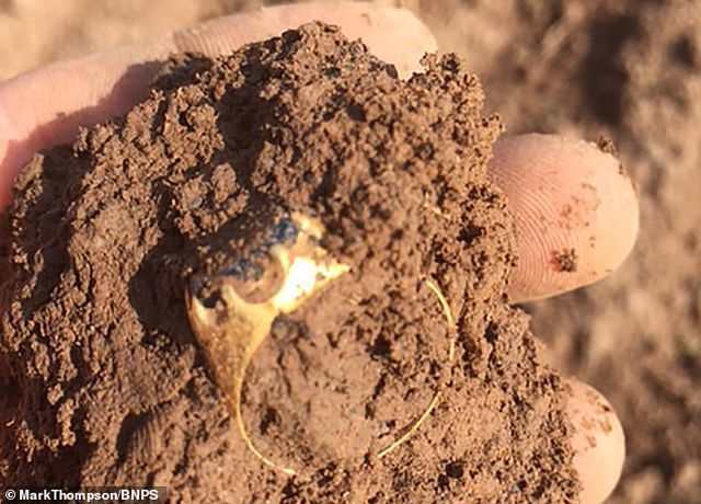 tim thay chiec nhan tri gia 15 ty dong trong khu rung cua robin hood