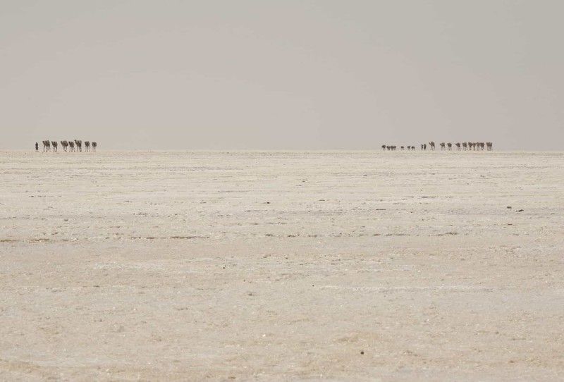 chum anh cuoc song o noi nong nhat hanh tinh