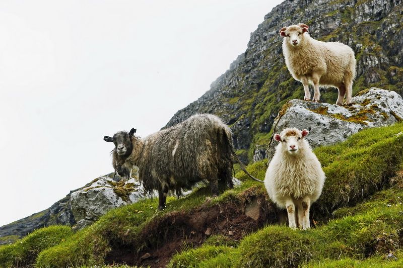 ky la hon dao doi may nam giua dai duong