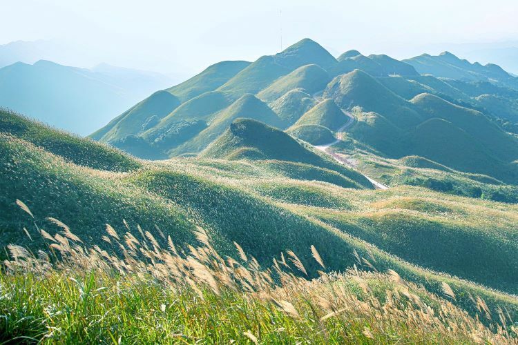 du lich quang ninh dang hoi sinh tung ngay