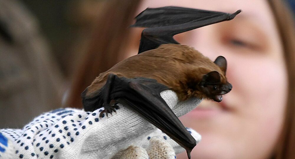 phat hien loai doi co kha nang du doan tuong lai