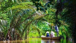 Chất lượng không khí ngày 11/11: Khu vực Hà Nội nhìn chung ở mức Kém và Xấu