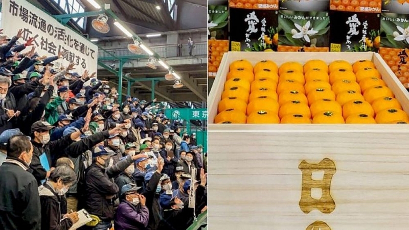 choang voi thung quyt nhat ban 20 kg duoc ban dau gia hon 200 trieu dong