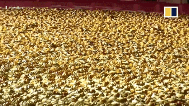 trung quoc noi hap khong lo nau 20000 con cua long cung luc