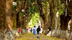 Dự báo thời tiết đêm nay và ngày mai (17-18/11): Đêm mưa vài nơi trên toàn quốc; Bắc Bộ, Bắc Trung Bộ lạnh về đêm và sáng sớm