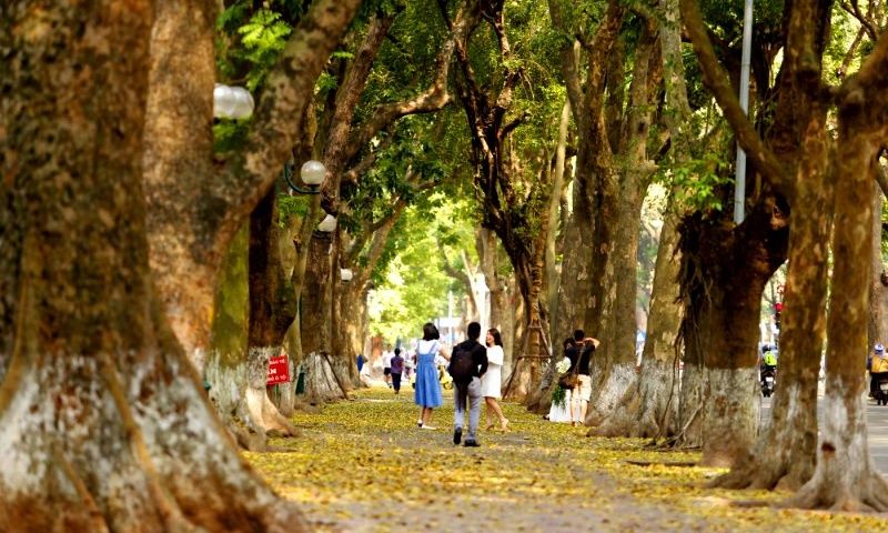 Dự báo thời tiết đêm nay và ngày mai (17-18/11): Đêm mưa vài nơi trên toàn quốc; Bắc Bộ, Bắc Trung Bộ lạnh về đêm và sáng sớm