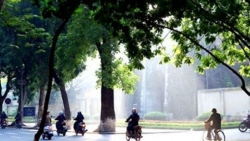 Dự báo thời tiết đêm nay và ngày mai (24-25/11): Nam Bộ chiều tối, đêm mưa dông rải rác, ngày nắng; Bắc Bộ lạnh về đêm và sáng sớm