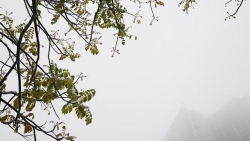 Dự báo thời tiết đêm nay và ngày mai (25-26/11): Bắc Bộ đêm trời lạnh, trưa chiều hửng nắng; Trung Bộ, Tây Nguyên, Nam Bộ mưa rào và dông vài nơi