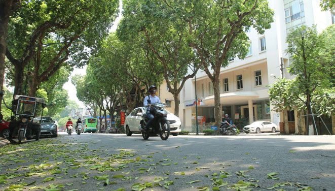 Dự báo thời tiết ngày và đêm nay (27/11): Bắc Bộ trưa chiều trời nắng, đêm chuyển rét; Trung Bộ mưa to đến rất to; Nam Bộ, Tây Nguyên ngày nắng Dự báo thời tiết ngày và đêm nay (27/11): Bắc Bộ trưa chiều trời nắng, đêm chuyển rét; Trung Bộ mưa to đến rất to; Nam Bộ, Tây Nguyên ngày nắng