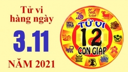 Tử vi hôm nay, xem tử vi 12 con giáp 3/11/2021: Tuổi Hợi tình duyên không đi đến đâu