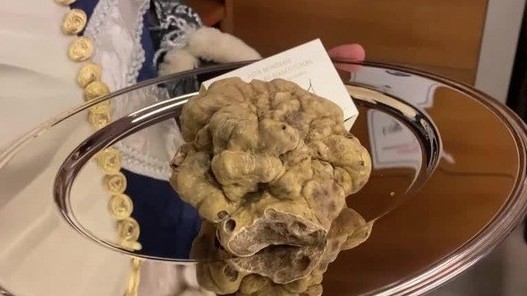 Hương vị và giá trị dinh dưỡng nấm Truffle đắt nhất thế giới có giá hơn 2,6 tỷ đồng