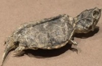 tin nhap 20180315103840