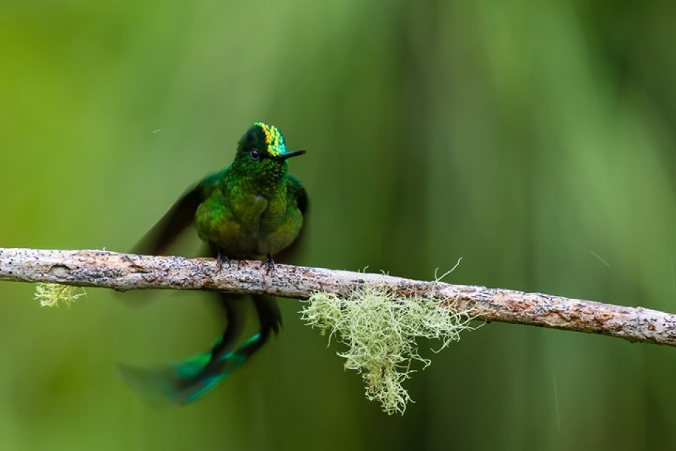 nhung buc anh dep nhat ve dong vat doat giai thuong cua bes