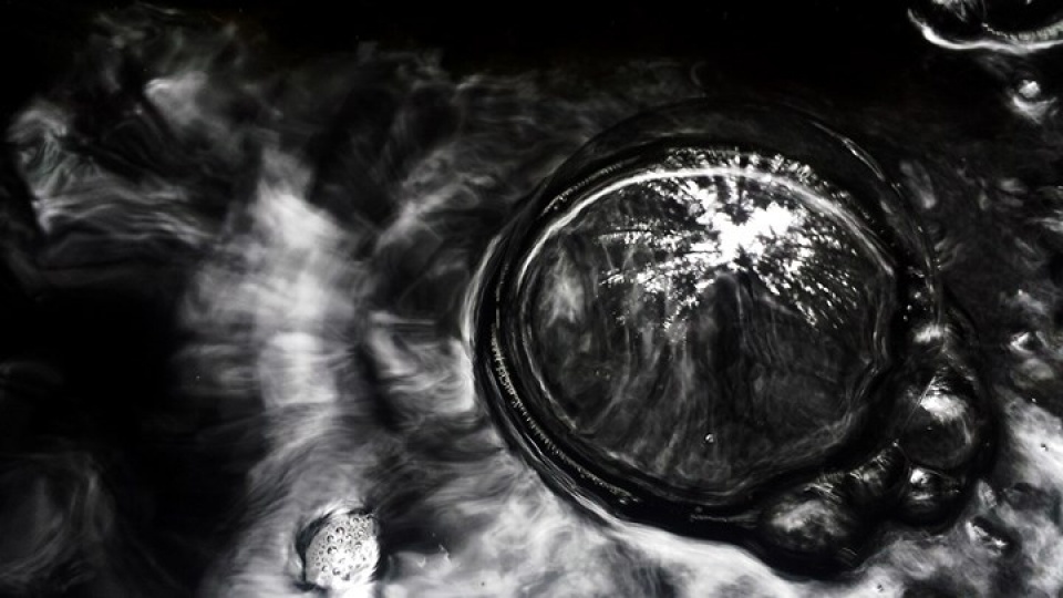 nhung buc anh dep nhat ve dong vat doat giai thuong cua bes