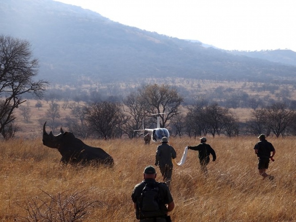 nhung buc anh dep nhat ve dong vat doat giai thuong cua bes