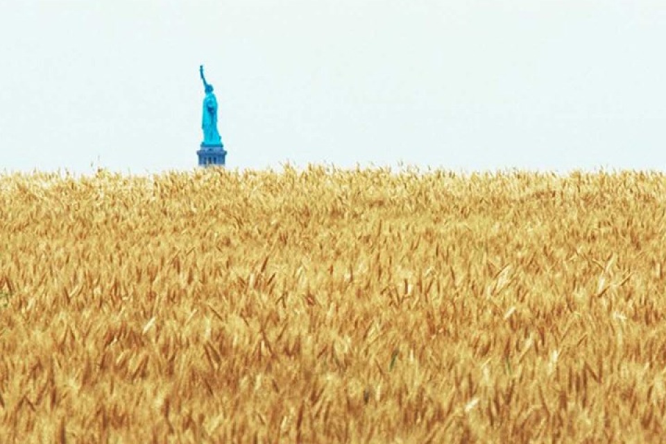 new york bat ngo ve canh dong lua ngay giua thanh pho