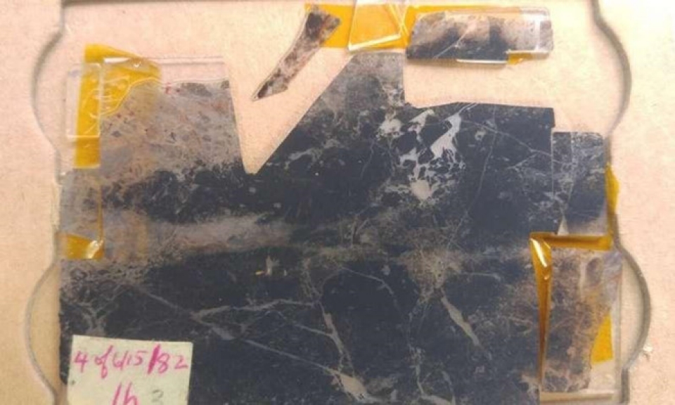 Dấu hiệu sự sống 3,5 tỷ năm trong hóa thạch nhỏ hơn sợi tóc dau hieu su song 35 ty nam trong hoa thach nho hon soi toc