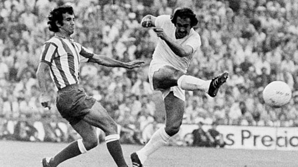 doi hinh vi dai nhat lich su real co ro dieu khong ro beo