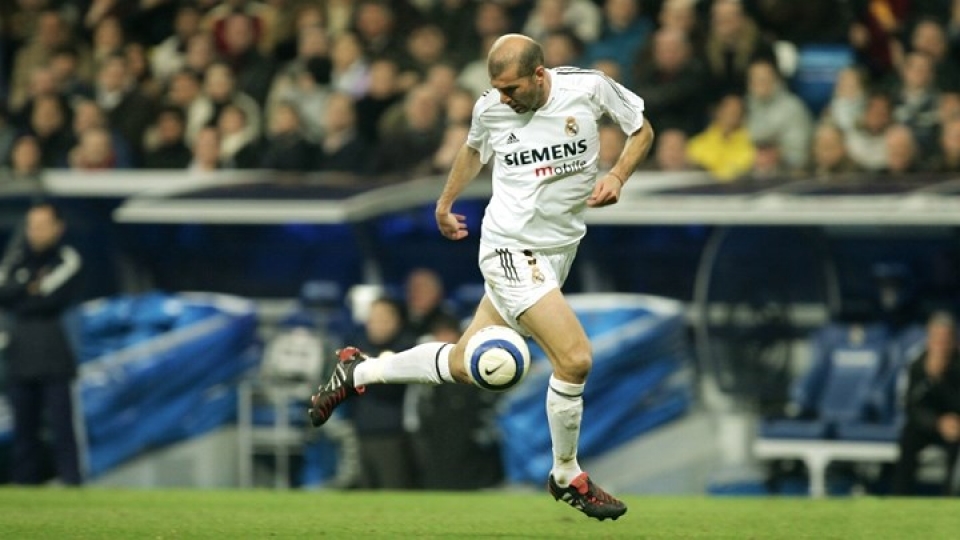 doi hinh vi dai nhat lich su real co ro dieu khong ro beo