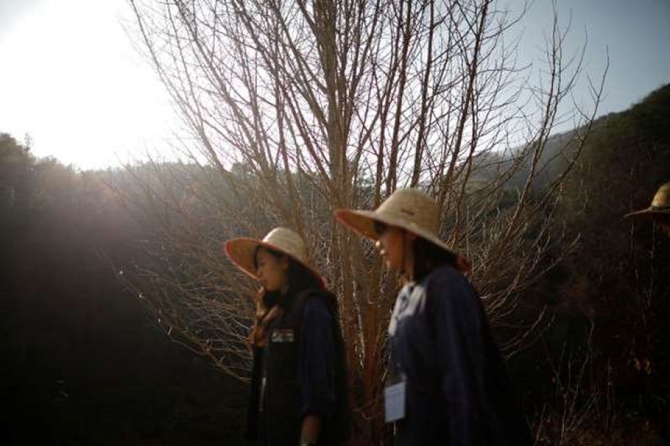 Hàn Quốc: Chọn "nhà tù" để trốn áp lực xã hội ngày càng tăng han quoc chon nha tu de tron ap luc xa hoi ngay cang tang